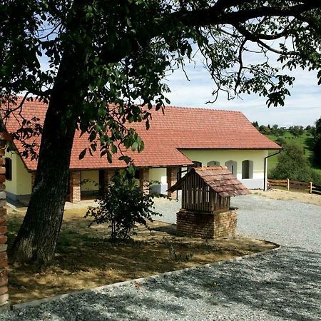 Apartments Mali Raj Dolenci Luaran gambar